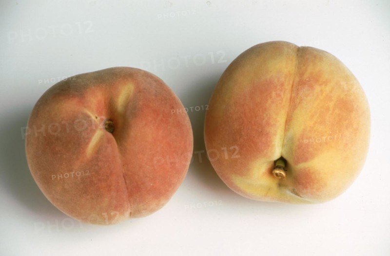 Peaches