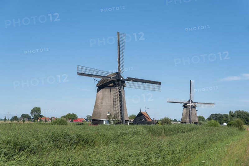 Polder landscape with the windmills Strijkmolen