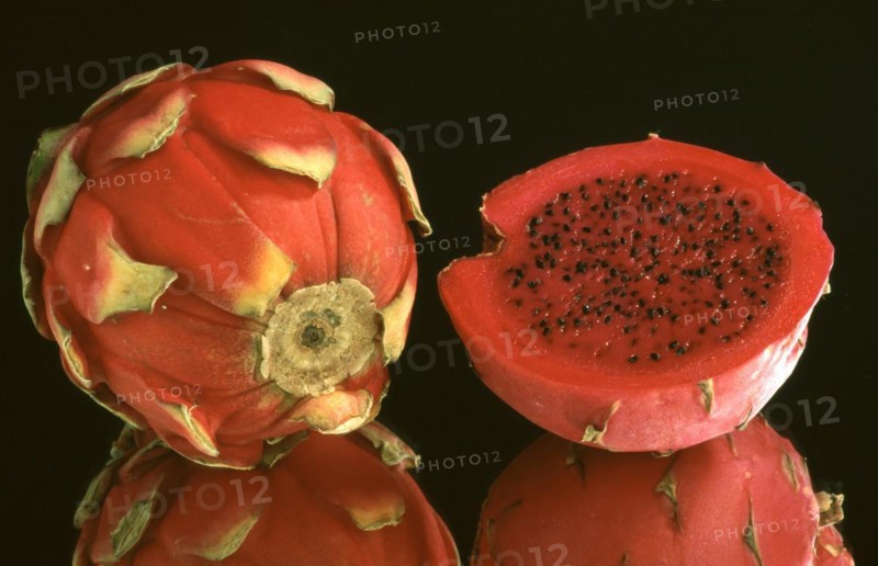 Exotic fruits: Vietnamese dragon fruit