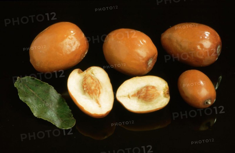 Jujube Mill