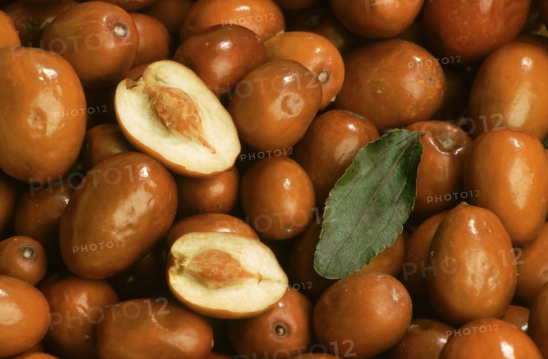 Jujube Mill