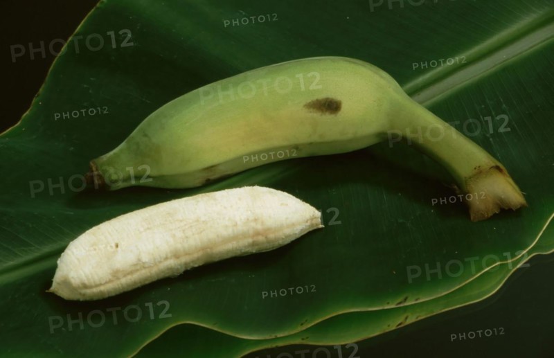 Bananas