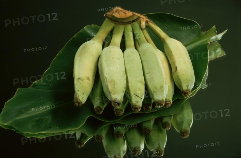 Bananas