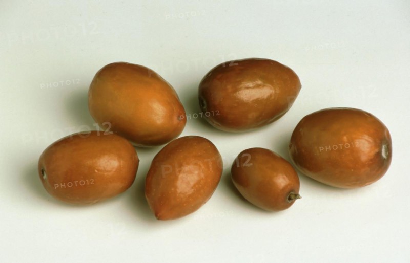 Jujube Mill