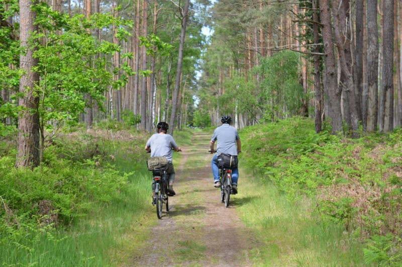 Woman and man cycling in the Darss Forest