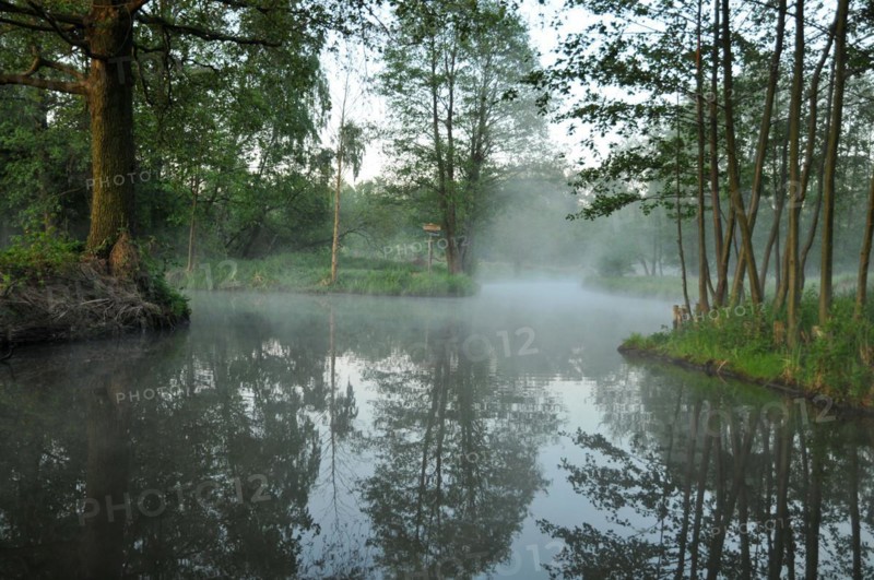 Morning atmosphere