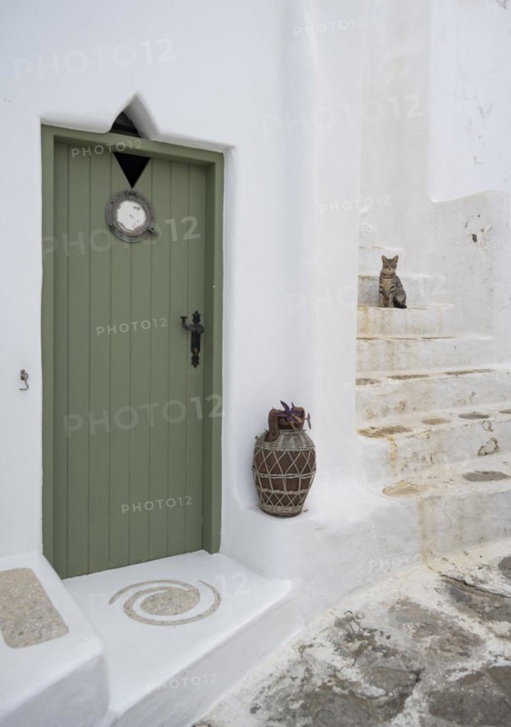 White house facade with green entrance door