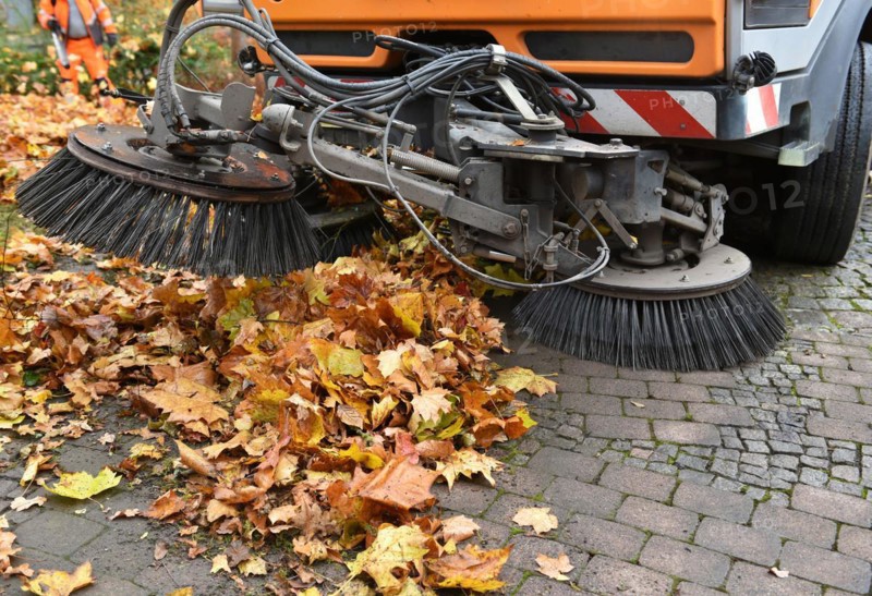 Sweeper sweeps wilted leaves from the road
