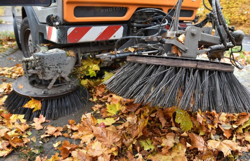 Sweeper sweeps wilted leaves from the road