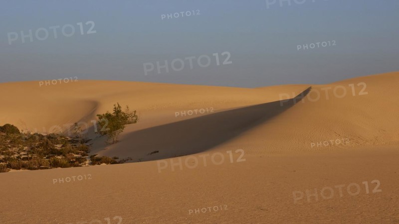 Dune