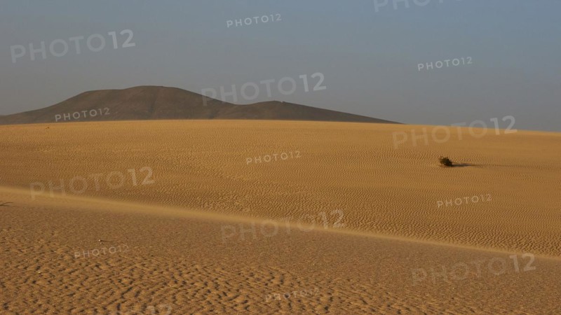 Sand desert with wave pattern