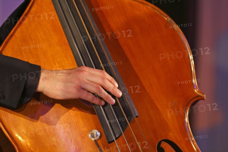 Jazz bassist Conrad Steinhoff from the Gerold Heitbaum Quartet in concert