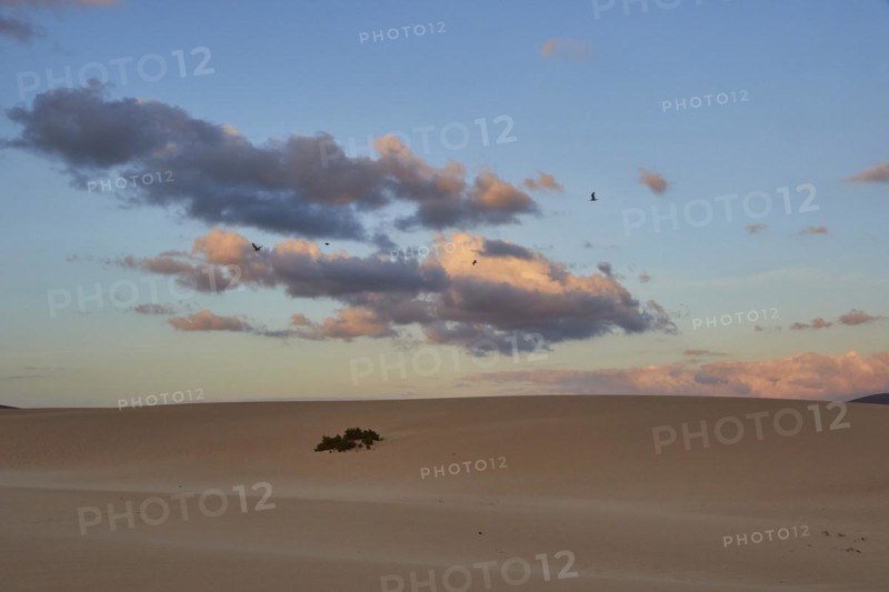 Dune
