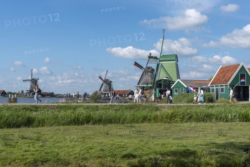 Rural scene with historic windmills in the Zaanse Schans open-air museum