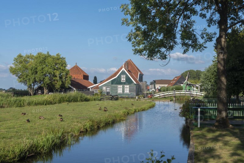 Rural scene in the Zaanse Schans open-air museum
