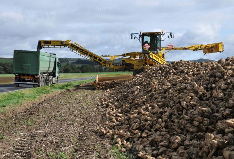 Beet cleaning loader picks up