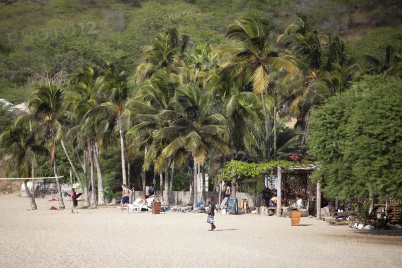 Coconut palms on the beach or Praia Areia Branca