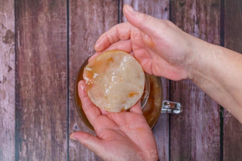 A woman holds in her hands a kombucha mushroom