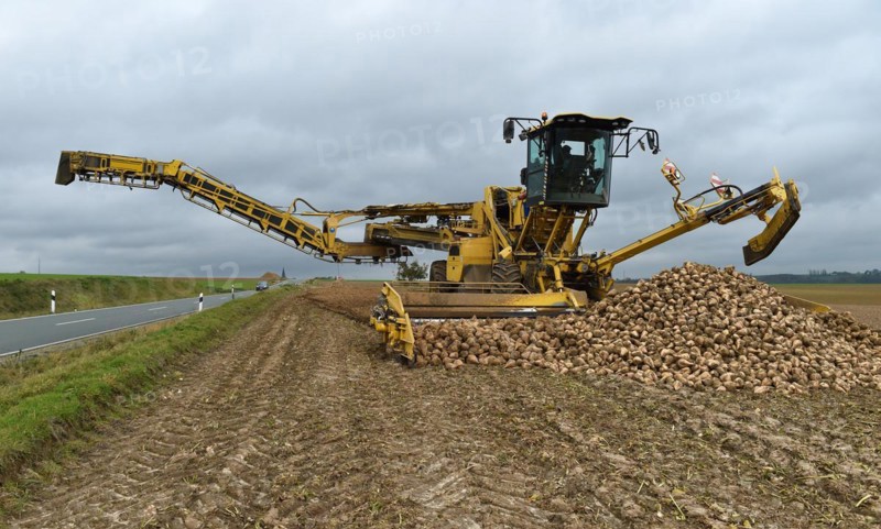 Beet cleaning loader picks up