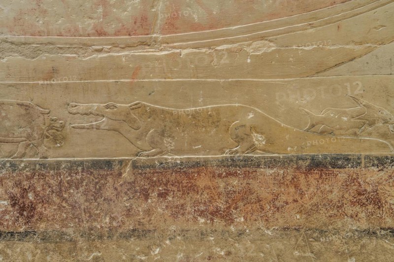 Relief