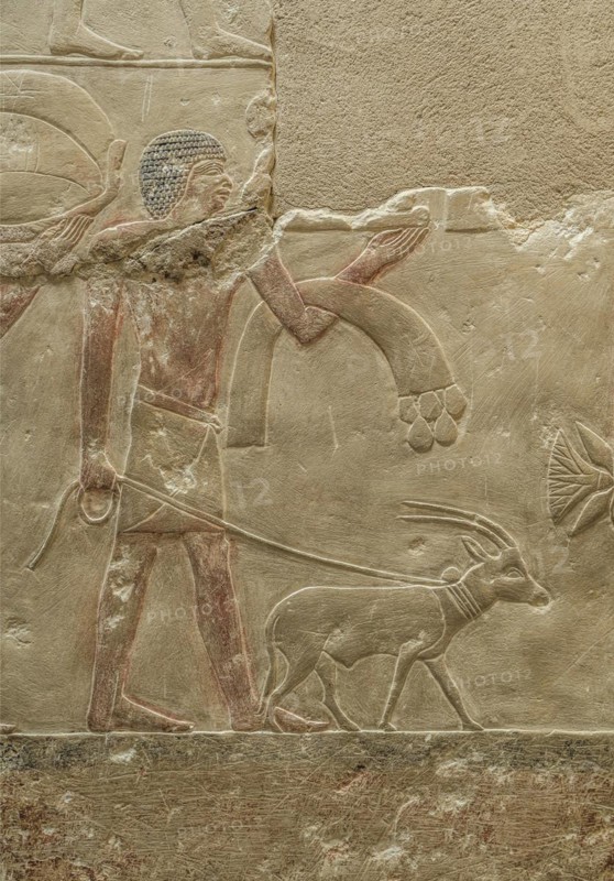 Farmer with goat