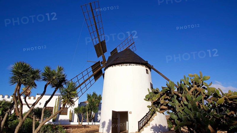 Windmill