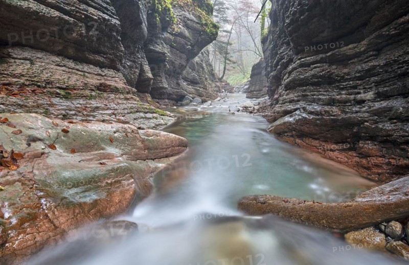 Taugl in the Davidgraben