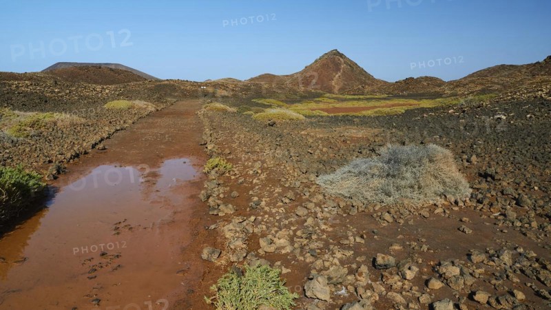 Muddy footpath