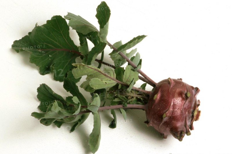 Blue kohlrabi