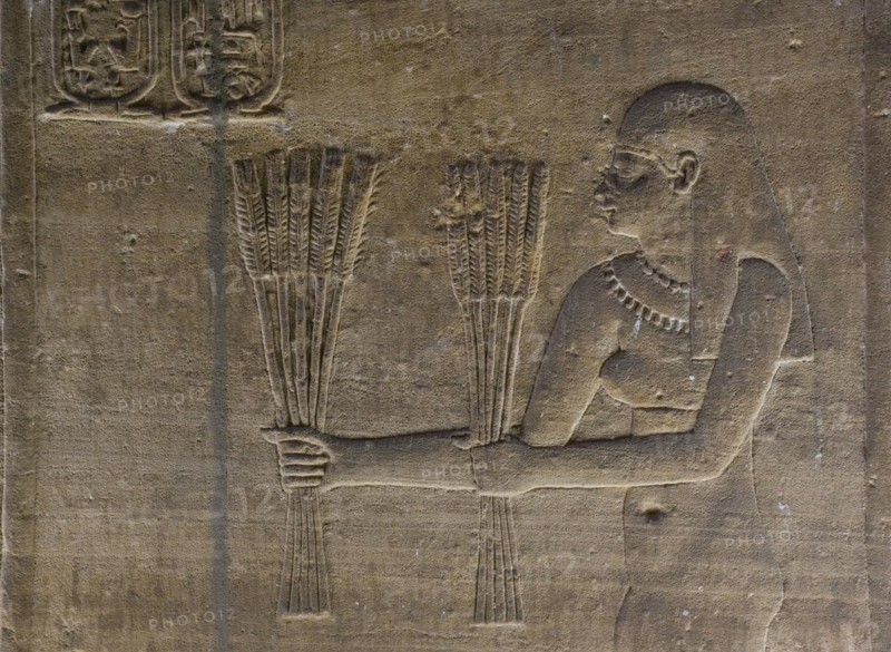 Relief