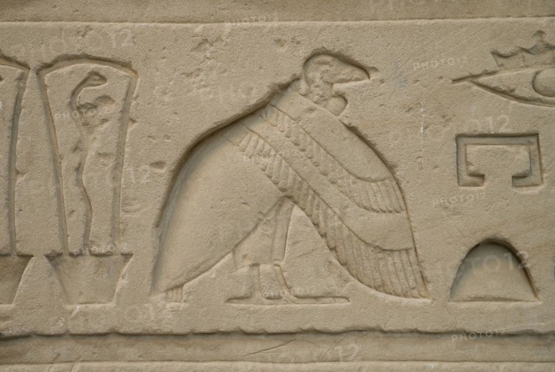 Relief