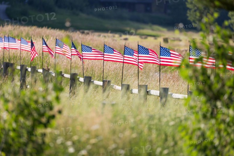 Row of american flags waving in the wind along A fence