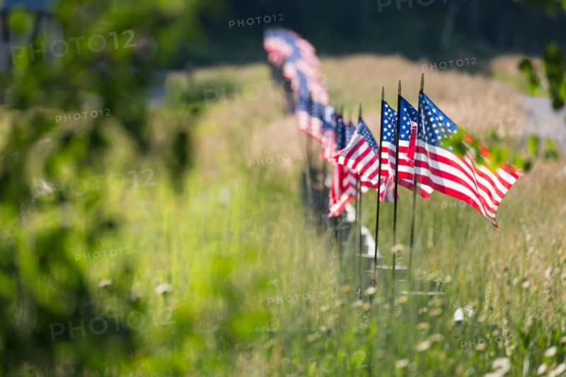 Row of american flags waving in the wind along A fence