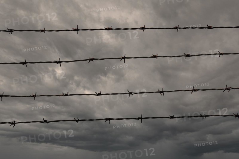 Four rows of barbed wire