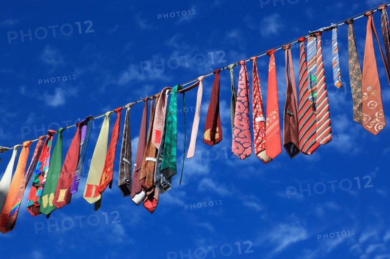 Many colourful ties hanging on a clothesline