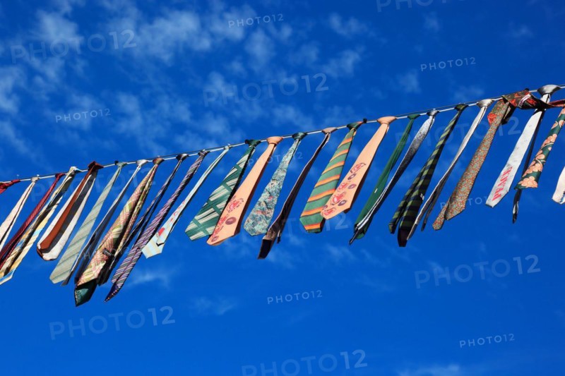Many colourful ties hanging on a clothesline