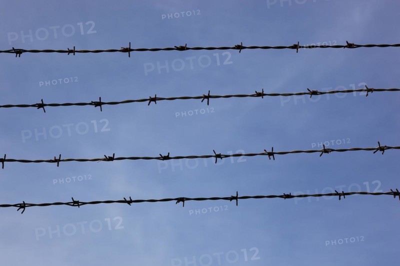 Four rows of barbed wire