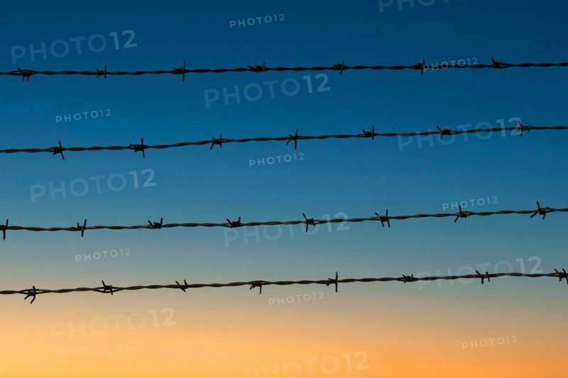 Four rows of barbed wire