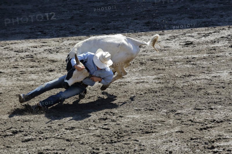 Rodeo competition