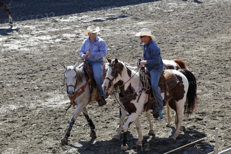 Rodeo competition