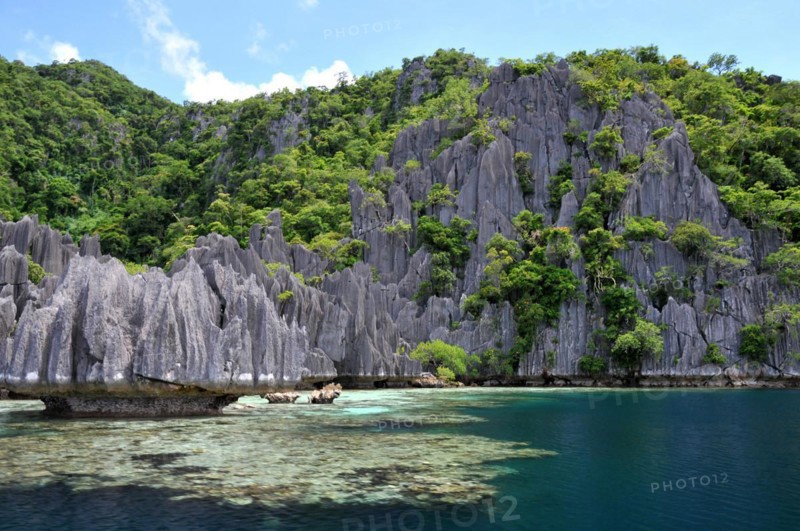 Limestone rock