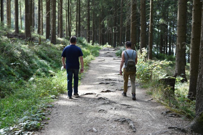 Woman and man hiking in the Darss Forest