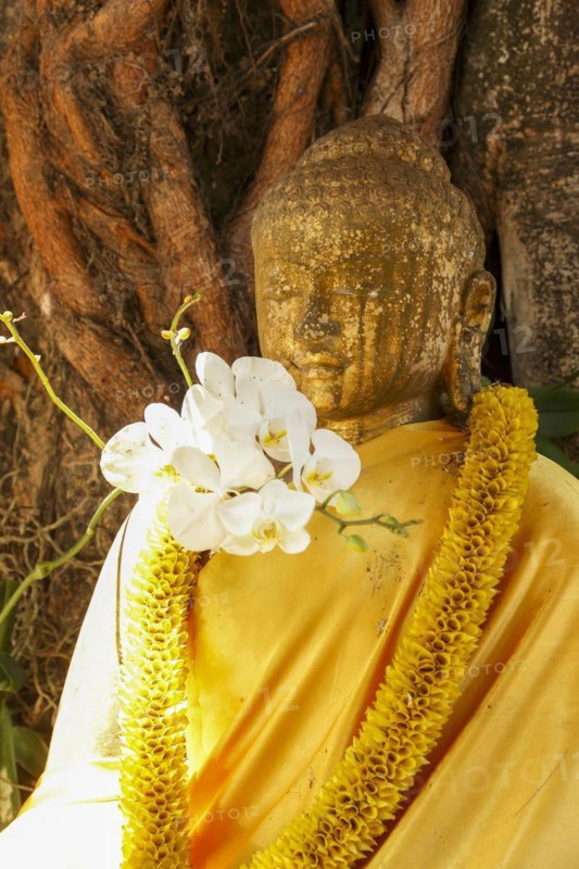Buddha statue