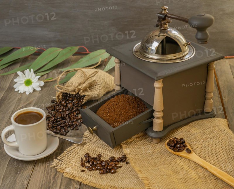 Coffee beans and ground coffee with coffee grinder and flowers