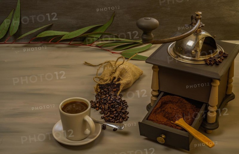 Coffee beans and ground coffee with coffee grinder and flowers