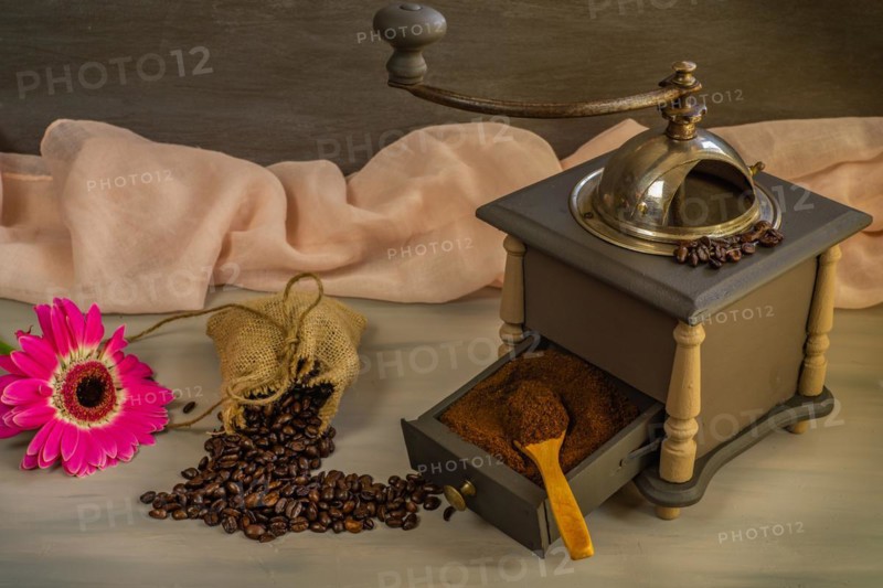 Coffee beans and ground coffee with coffee grinder and flowers