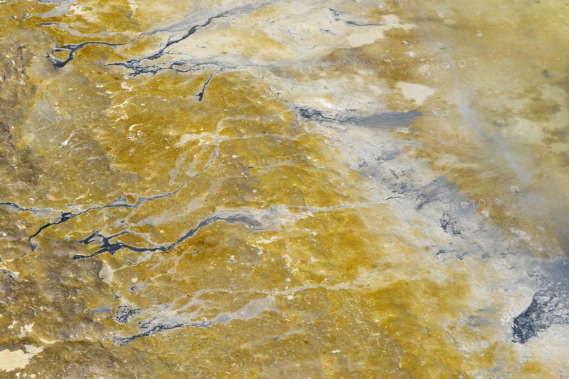 Silt sediment on the Wadden Sea
