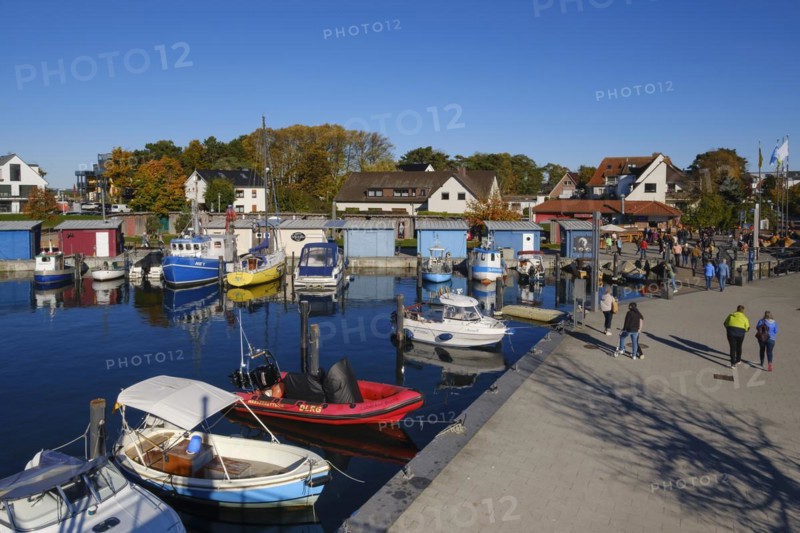 Boats in the harbour