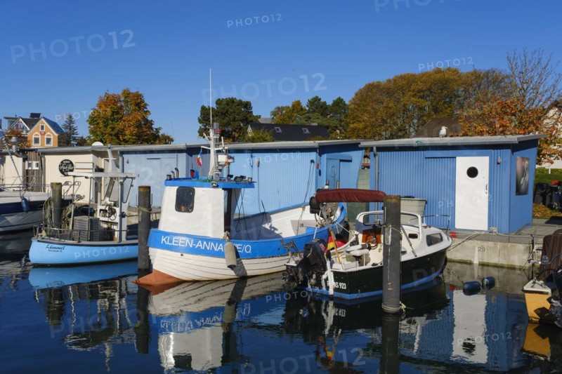 Fishing boats in the harbour