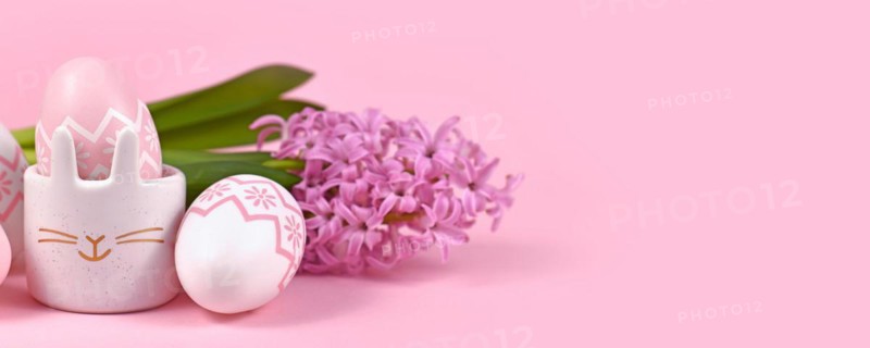 Pink Easter banner with eggs and egg cup in shape of bunny with Hyacinth spring flower on pink background